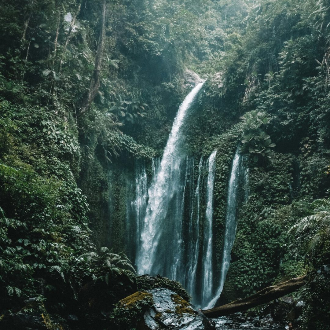 benjamin-janos-ym99Ig7ILRA-unsplash